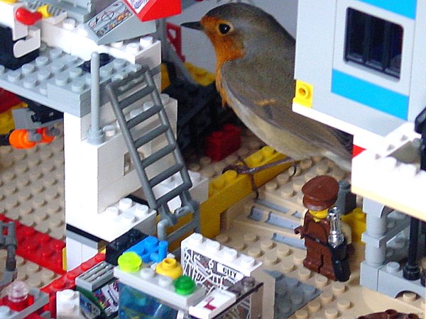 2- L'oiseau joue aux legos 